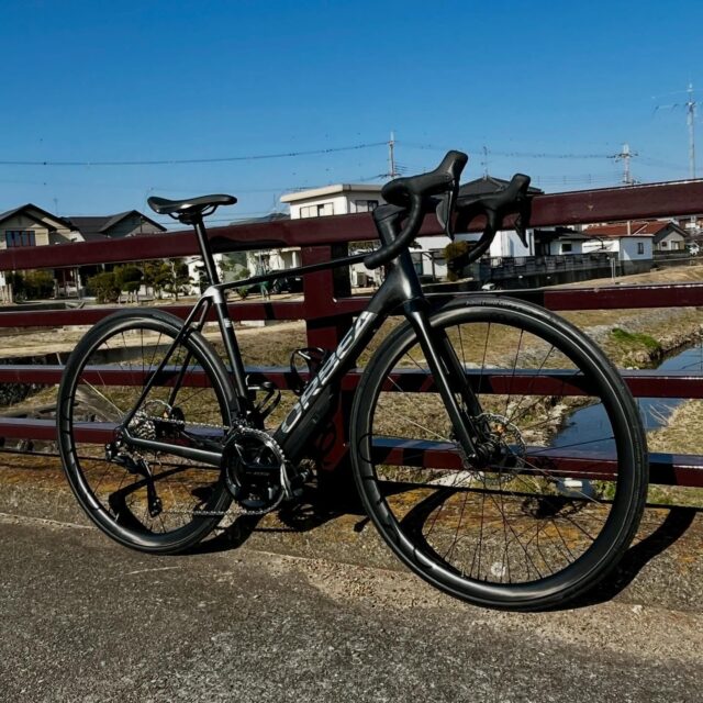 新品　自転車本体　オールブラック　（沖縄限定） 新品 自転車本体 オールブラック （沖縄限定） 【公式通販】